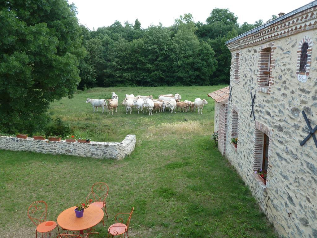 Le Moulin De Drapras Bed & Breakfast Chemille-en-Anjou Exterior photo